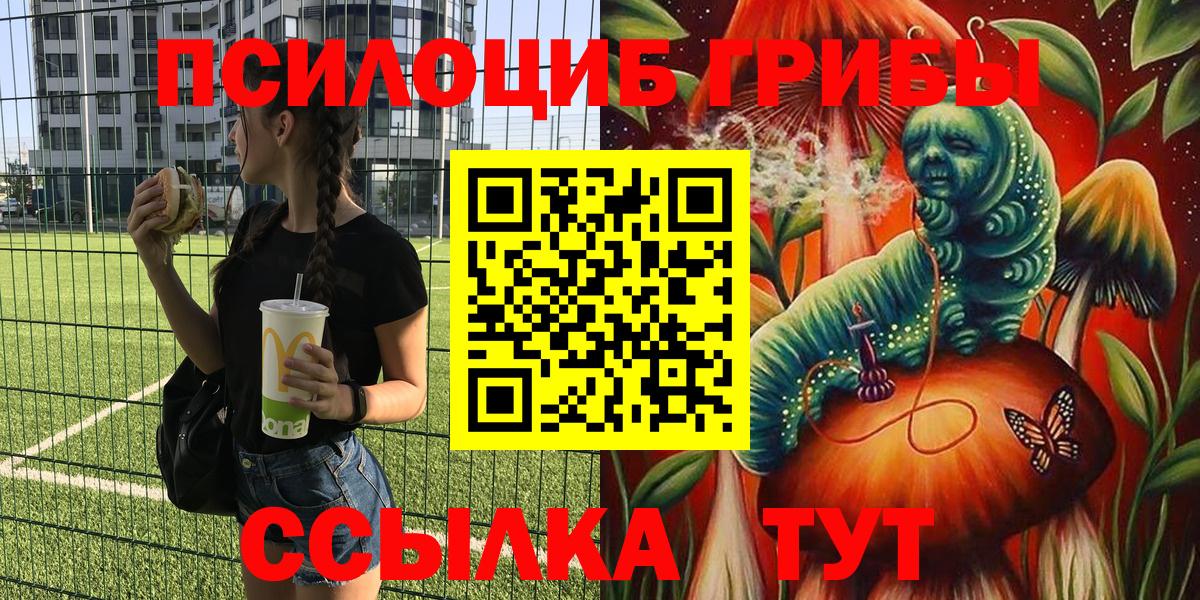 Псилоцибиновые грибы мухоморы Гусев