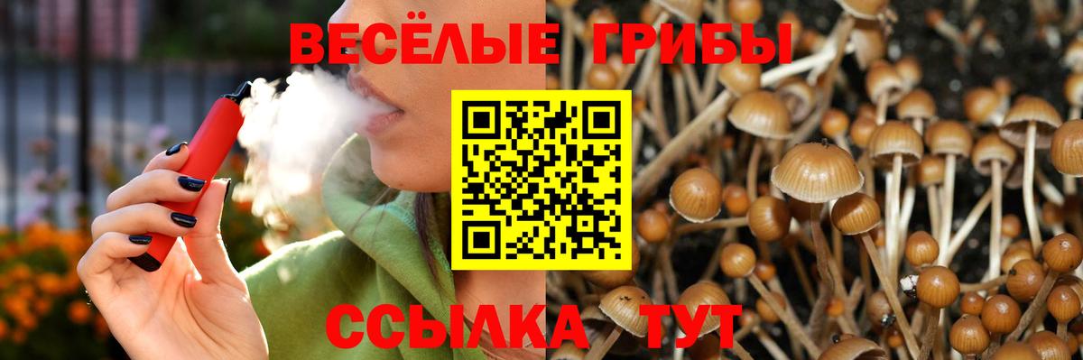 Галлюциногенные грибы Magic Shrooms  Вход с VPN  дарнет шоп  Гусев 